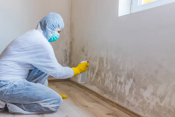 Certified Mold Removal in Rush Springs, OK