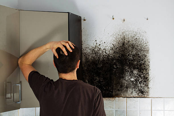 Best Crawl Space Mold Removal  in Rush Springs, OK